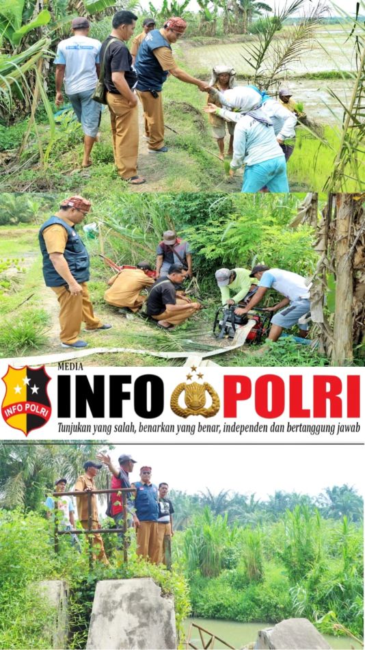 Tingkatkan Produksi Pertanian, Kepala BPBD Simalungun Tinjau Dua Bendung yang Rusak Akibat Bencana Banjir di Kecamatan Ujung Padang